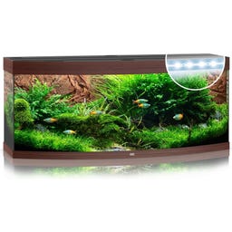 Juwel Vision 450 LED Aquarium