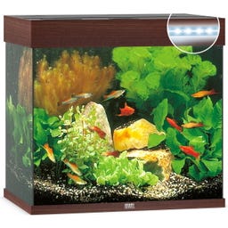Juwel Lido 120 LED  Aquarium