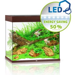 Juwel Lido 200 LED Aquarium