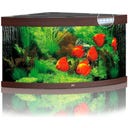 Juwel Trigon 350 LED Aquarium