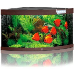 Juwel Trigon 350 LED Aquarium