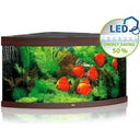 Juwel Trigon 350 LED Aquarium