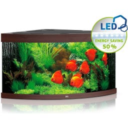 Juwel Trigon 350 LED Aquarium