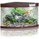 Juwel Trigon 190 LED Aquarium