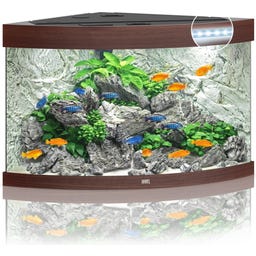 Juwel Trigon 190 LED Aquarium