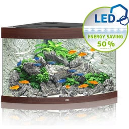 Juwel Trigon 190 LED Aquarium