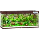 Juwel Rio 240 LED Aquarium