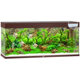 Juwel Rio 240 LED Aquarium