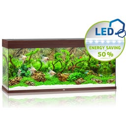 Juwel Rio 240 LED Aquarium