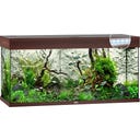 Juwel Rio 180 LED Aquarium