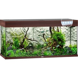 Juwel Rio 180 LED Aquarium