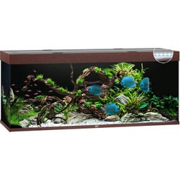 Juwel Rio 450 LED Aquarium
