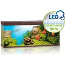 Juwel Rio 450 LED Aquarium