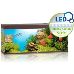 Juwel Rio 450 LED Aquarium