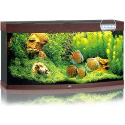 Juwel Vision 260 LED Aquarium