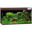 Juwel Rio 350 LED Aquarium