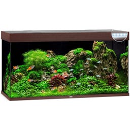 Juwel Rio 350 LED Aquarium