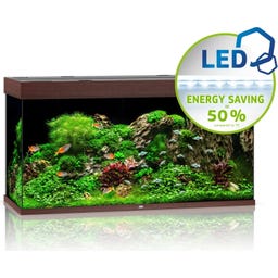 Juwel Rio 350 LED Aquarium