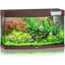 Juwel Vision 180 LED Aquarium