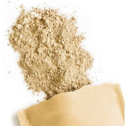 Terra Elements Maitake Pulver Bio - 100 g