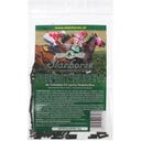 Starhorse Perfect Muscle