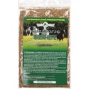 Starhorse Bierhefe