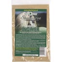 Starhorse Afrikanischer Ingwer