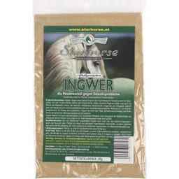 Starhorse Afrikanischer Ingwer