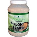 Starhorse Indischer Flohsamen