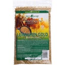 Starhorse Leinsamen Gold