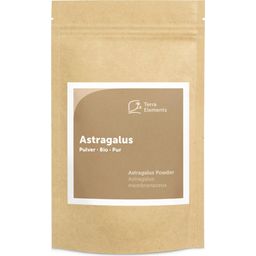 Terra Elements Astragalus Pulver Bio - 100 g