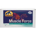 Muscle Force