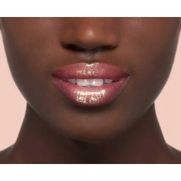 L'Oreal Paris Color Riche Plump & Shine