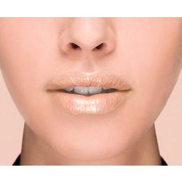 L'Oreal Paris Color Riche Plump & Shine