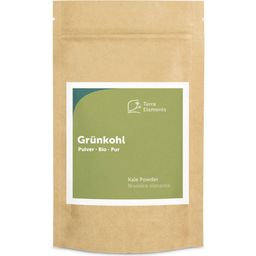 Terra Elements Grünkohl Pulver Bio - 125 g