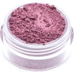 Neve Cosmetics Eyeshadow - bright and colorful