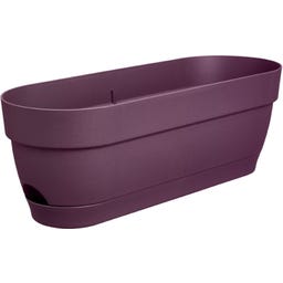 elho Balkonkasten vibia campana, 50 cm