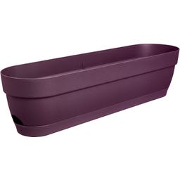 elho Balkonkasten vibia campana, 70 cm
