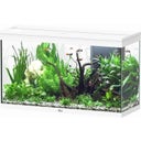 Aquatlantis Splendid Ultra 200 Weiß Aquarium - 1 Stk