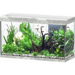Aquatlantis Splendid Ultra 200 Steinoptik Aquarium - 1 Stk