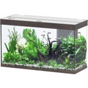 Splendid Ultra 200 Wildeiche Dunkel Aquarium - 1 Stk