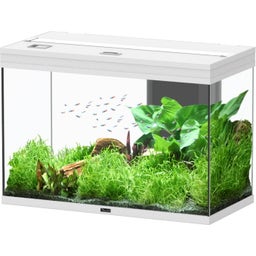 Aquatlantis Splendid Ultra 145 Weiß Aquarium - 1 Stk