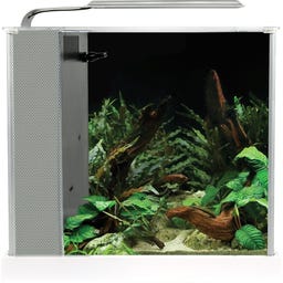 Fluval SPEC 5 Nano Becken 10 Liter - weiß