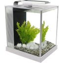 Fluval SPEC 5 Nano Becken 10 Liter - weiß