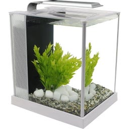 Fluval SPEC 5 Nano Becken 10 Liter - weiß