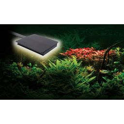 Fluval Plant Nano LED - 1 Stk