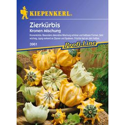 Kiepenkerl Zierkürbis 