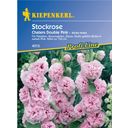 Kiepenkerl Stockrose 