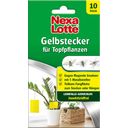Nexa Lotte Gelbstecker - 10 Stk