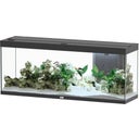 Aquatlantis Splendid 300 Schwarz Aquarium - 1 Set